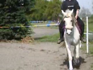 cours avec mme lavagne