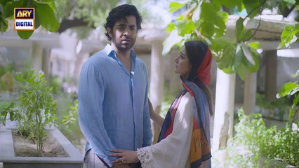 Radd Last Episode  Digitally Presented by Happilac Paints  15 Aug 2024  ARY Digital_v720P