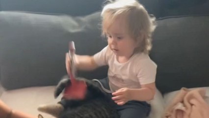 Super-possessive girl hilariously 'protects' pet cat from sister