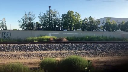 SaveTube.io-DA TRAIN