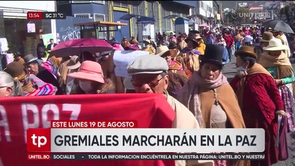 Ante la falta de dólares, gremiales reactivarán movilizaciones la siguiente semana en La Paz 