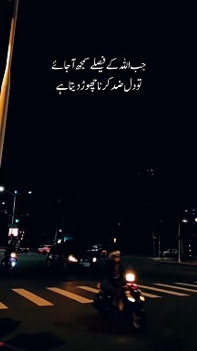 ♥️♥️♥️