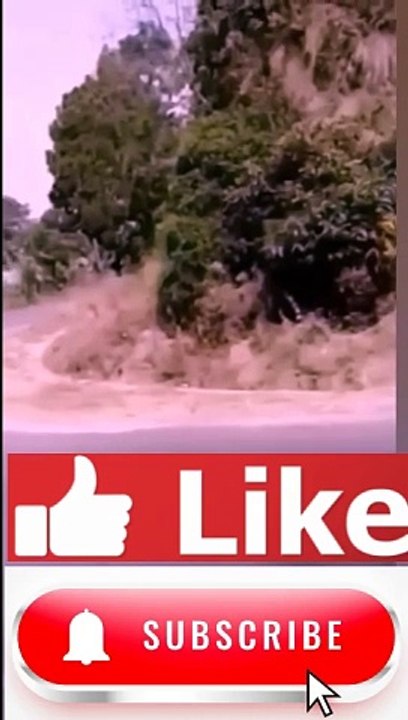 Truck Brake Fail & Fall Funny