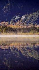 Hazrat Bilal (R.A) ne farmaya | Islamic videos | viral videos | #saba.fayyaz0322