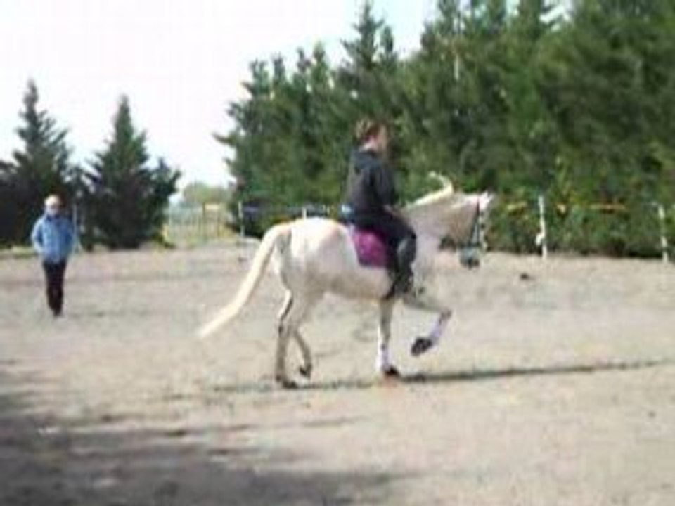 cours avec mme lavagne