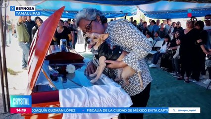 Perrito asiste al sepelio de su dueño para darle el último adiós
