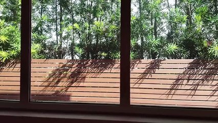 Evaluna Montaner y Camilo explicaron por qué eligieron dar a luz a sus hijos en casa: "La manera más natural"