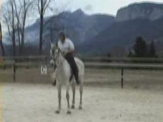 Faby - Bambu le 18.04.20008