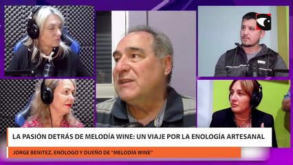 La pasión detrás de Melodía Wine Un viaje por la enología artesanal