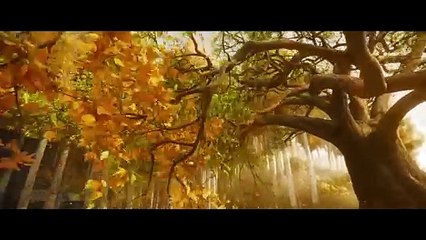 The Rings of Power Season 2 Official Trailer – Epic New Adventures Await! ✨