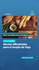 Alertan dificultades para el acopio de trigo