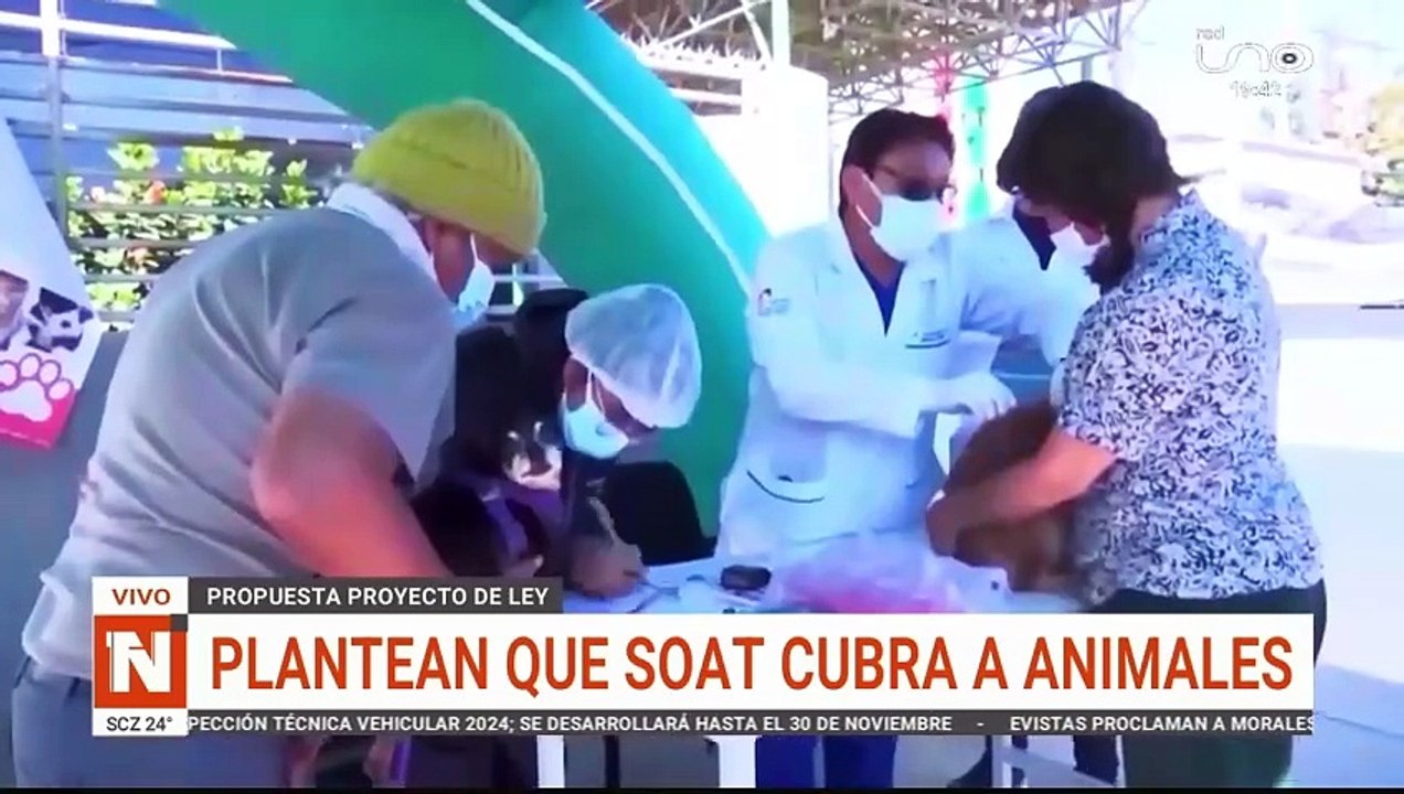 SOAT
