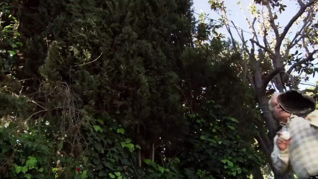 666： EL HIJO ｜ Película de TERROR completa en ESPAÑOL latino gratis ｜ SUSPENSO