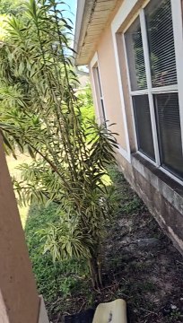 466 REDWING ST LEHIGH ACRES,FL,33974