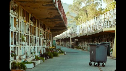 Los versos del olvido | movie | 2018 | Official Trailer