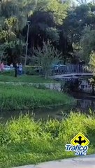 El cuerpo de una mujer fue localizado al interior de un canal sobre la avenida Patria