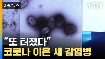 [자막뉴스] 또 터졌다...코로나 이은 새 감염병 / YTN