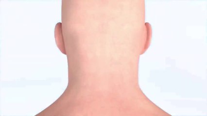 BASIC SURGERY POINTS