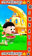 এইখানে কতগুলো খাবার আছে আমাকে খেতেই হবে _ Cartoon Amezing Facts Funny #shorts #smnatok #cartoon