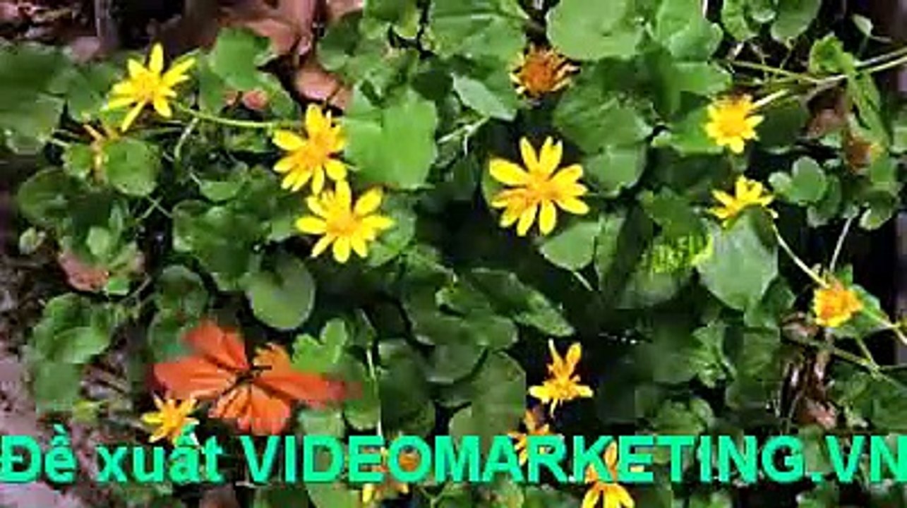Giới thiệu dự án trung tâm BĐS