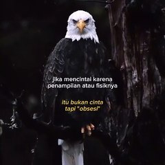 Hal yang perlu kalian ketahui