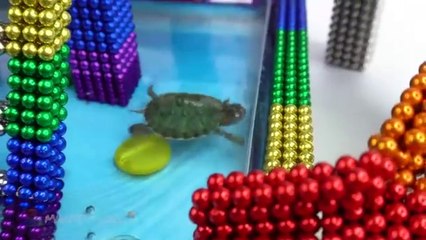 DIY_-_How_To_Build_Mini_Swimming_Pool_For_Pet_From_Magnetic_Balls__Satisfying____Magnet_World_Series(360p)