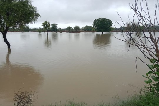 Heavy Rain In Jodhpur : मूसलाधार बारिश ने जोधपुर को किया बेहाल, तालाब लबालब, खेतों में भरा पानी, देखें VIDEO
