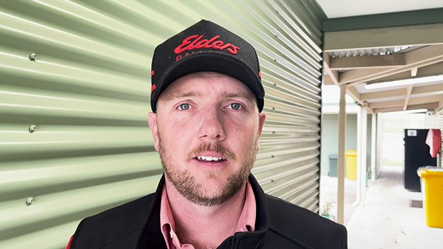Nick Gray, Elders Ballarat livestock manager | Stock & Land