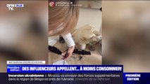 Quand des influenceurs appellent à moins consommer et prônent 
