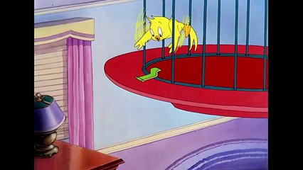 Tom___Jerry_in_italiano___U-u-u-uccellino!___WB_Kids(360p)