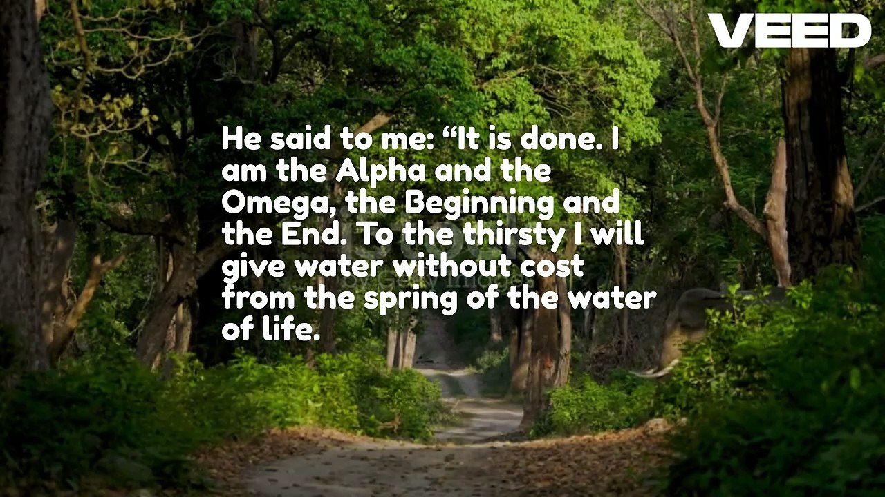 Rain Forest with Elephant