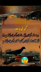 آج کی گہری بات #trending#viral#shorts#islamic#follow#foryou#dailymotion#share
