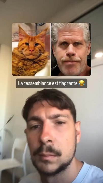 La ressemblance est flagrante ! (exclusivité dailymotion)