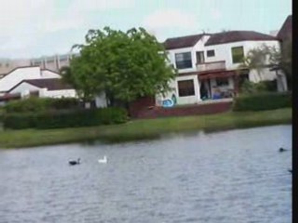 Shano Cazando patos_divx (2)