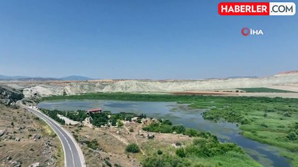 Kuşlar ekolojik tünel sayesinde daha rahat hareket ediyor