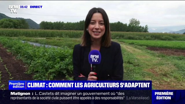 Chaleur, manque d'eau, orages... Comment les agriculteurs s'adaptent face au changement climatique