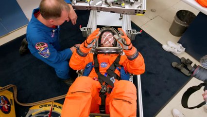 Mr Beast One Dollar vs $10,000,000 Job!