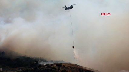 İzmir'de orman yangını: Havadan müdahale sürüyor