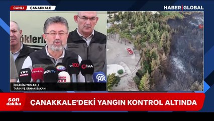 Bolu, Manisa ve İzmir'de alevlerle mücadele! Çanakkale'deki yangını kontrol altına alındı