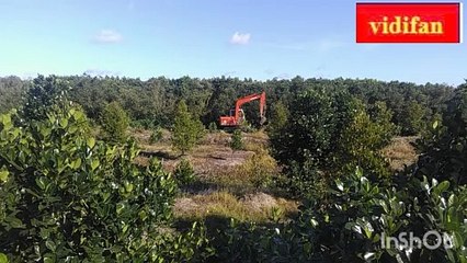 See excavator digging soil - Voir la pelle creusant le sol - شاهد حفارة تحفر التربة