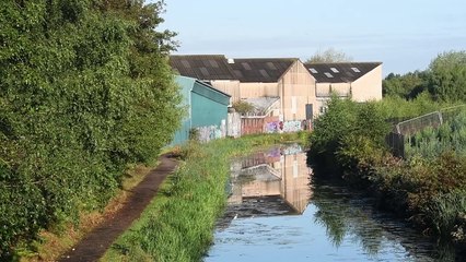 Environment Agency area director Marc Lidderth talks to the Express & Star about the current situation at the toxic Walsall canal.