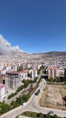 İzmir Karşıyaka'da orman yangını