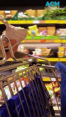 ALDI is Australia’s cheapest supermarket - but by how much?