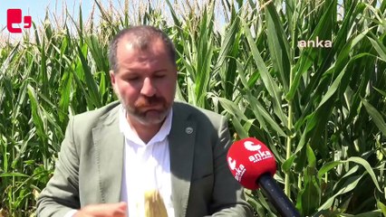 Diyarbakır Ziraat Odası Başkanı İskenderoğlu: 'Bakan konuşunca kendimi başka bir ülkede yaşıyor sanıyorum'