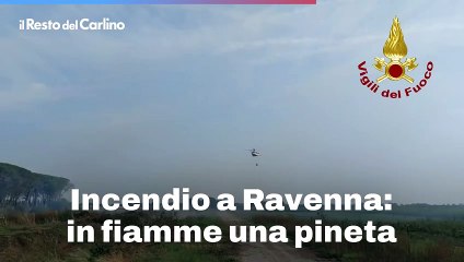 Incendio a Ravenna: in fiamme una pineta