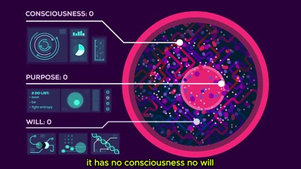 What Are You? Exploring Body and Identity 🤔