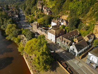 A 100 Year Old Tree in Bridgnorth Has Now Been Removed By Council