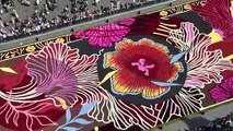 Le street art rencontre la tradition pour former un tapis de fleurs à Bruxelles