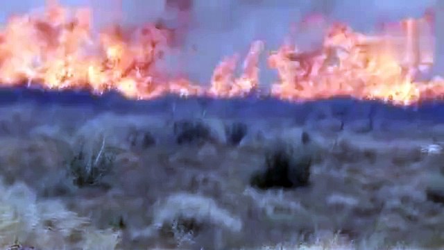 İzmir Duman Altında: Yamanlar Dağı'ndaki Yangın Şehir Hastanesi'ni Tehdit Ediyor