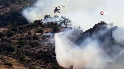 İzmir'deki orman yangınında dumanlar İzmir'i sardı